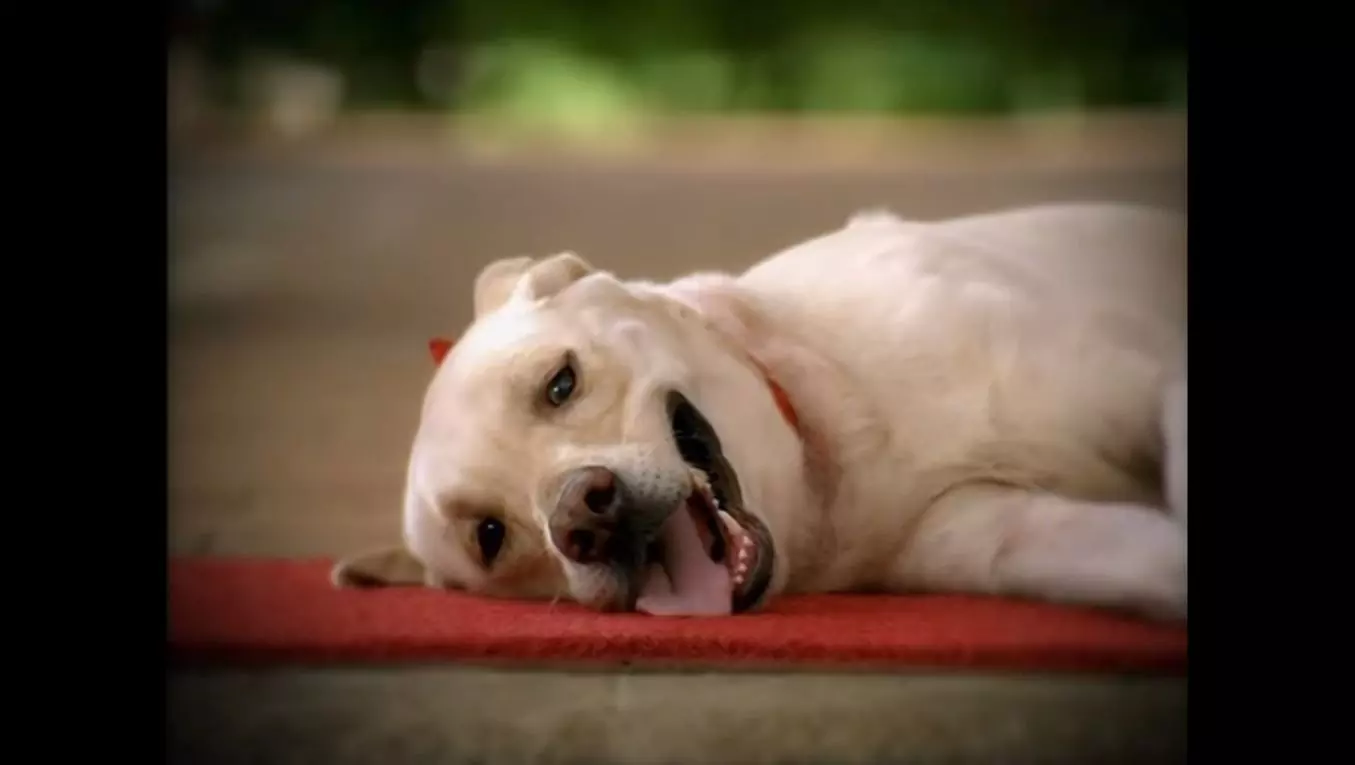 High-end villa design exterior view 11